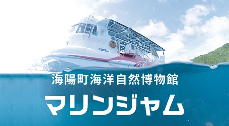 マリンジャム
